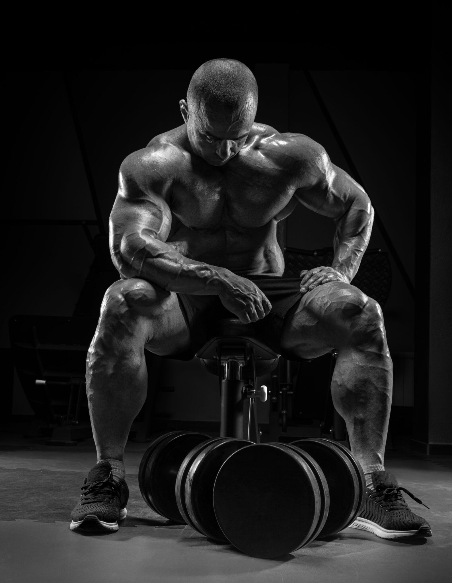 Top 10 Bulking Supplements for 2022 Strong Supplements, Inc.
