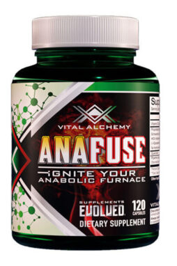 anafuse_r2_400x600__48187