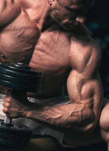 Article Top Art (61)