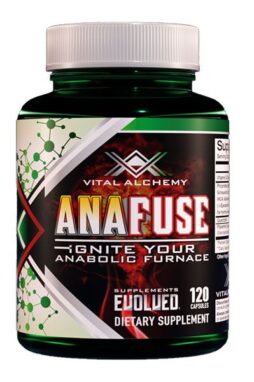 anafuse_r2_400x600